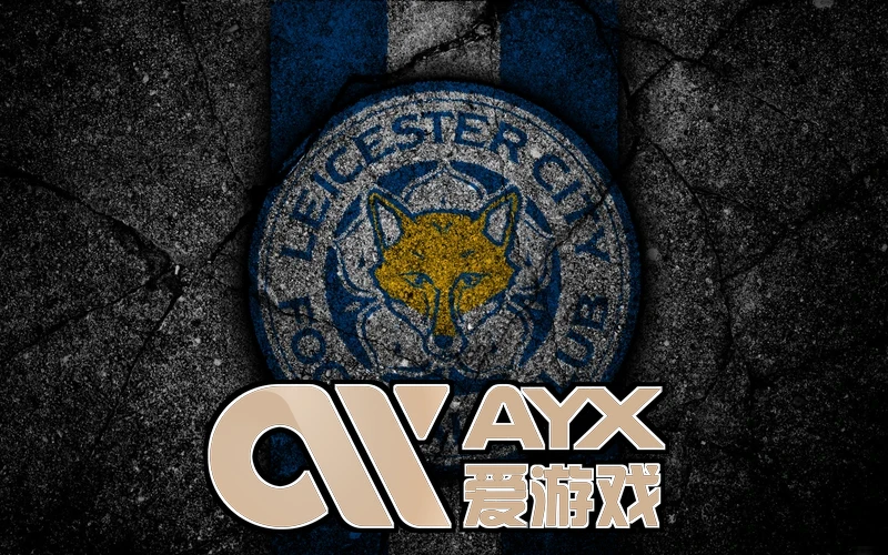 爱游戏ayx体育相关图片