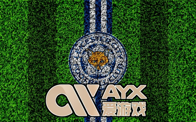 爱游戏(中国)体育·官方网站核心能力拆解与指标关系图