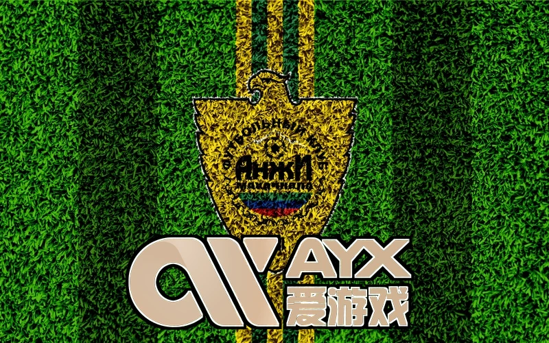 ayx・爱游戏(官方)网页版家庭与公共网络场景应用图