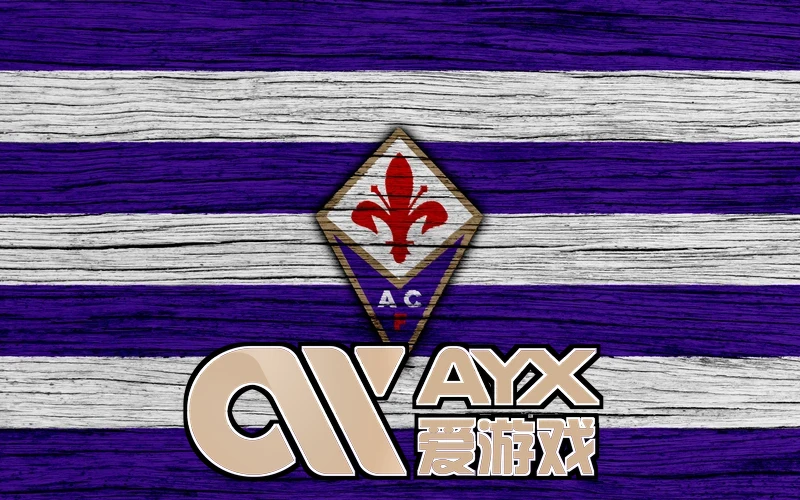爱游戏app手机版官网未来展望