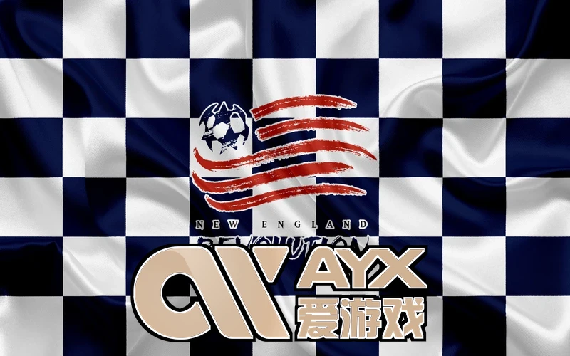 爱游戏体育平台官网专业版的界面