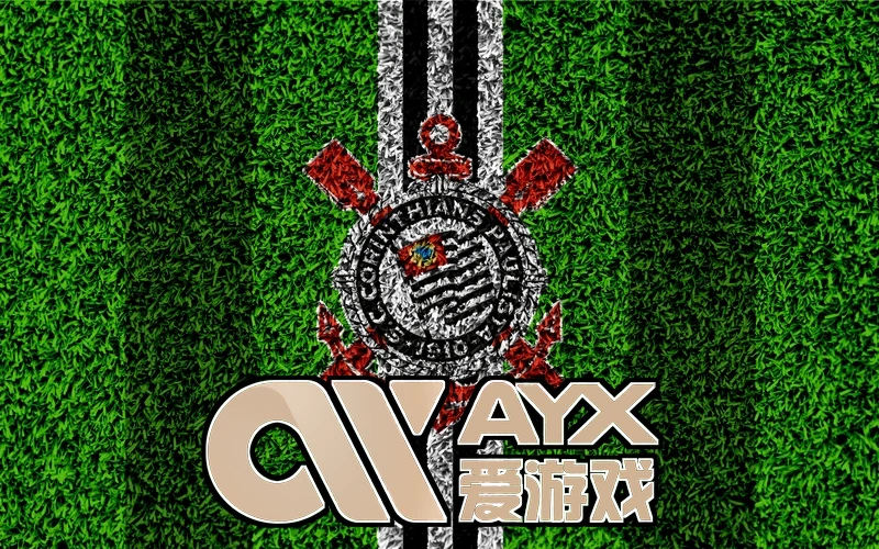 ayx Standard 2026相关图片