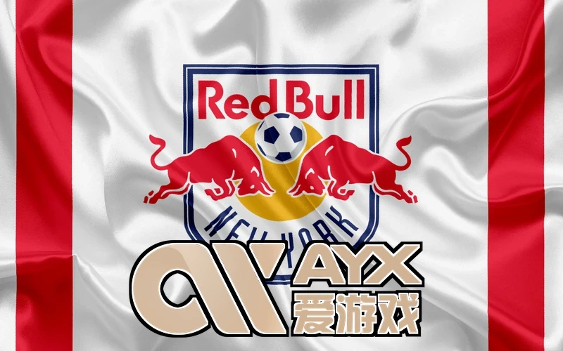 爱游戏ayx官网