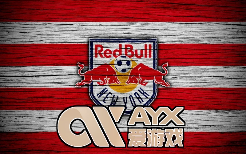 ayx爱游戏最新游戏入口支付方式对比示意图