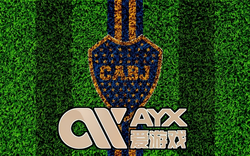 爱游戏官方版app下载渠道与版本信息核对示意