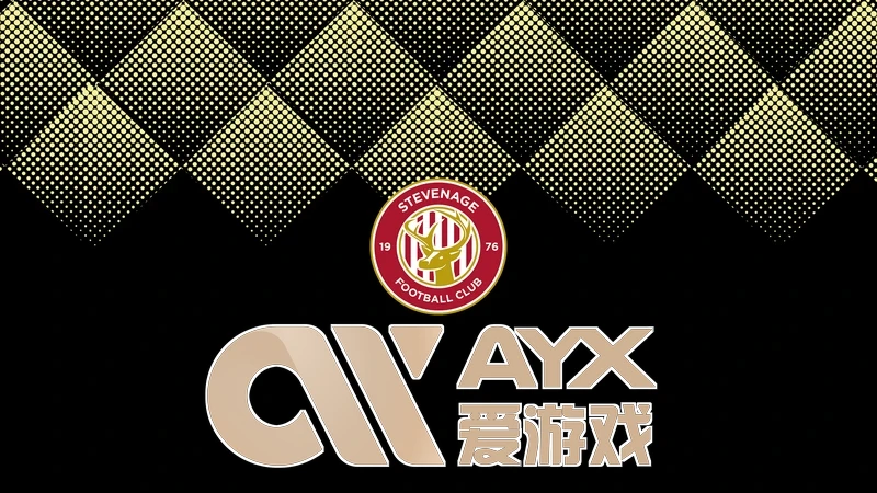 ayx·爱游戏(官方)体育核心方案展示