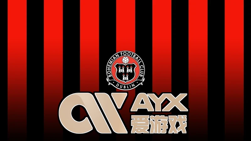 用户反馈