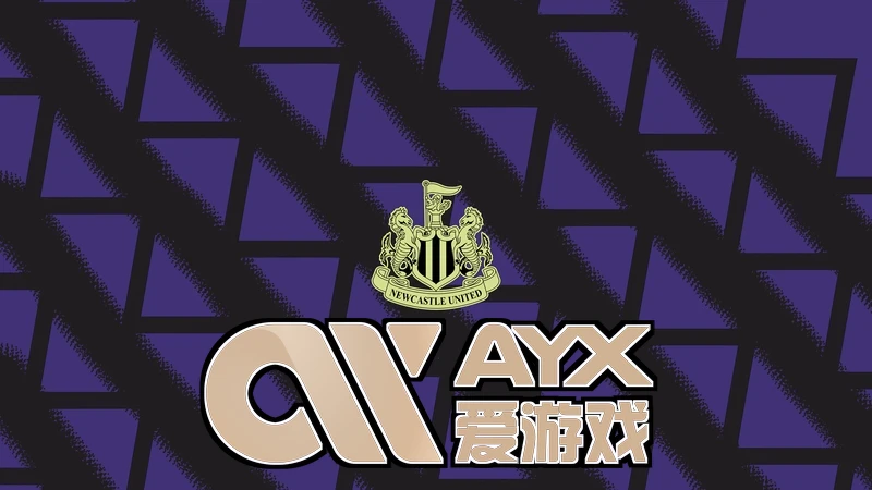 ayx・爱游戏(中国)官方网站资金记录系统界面示意