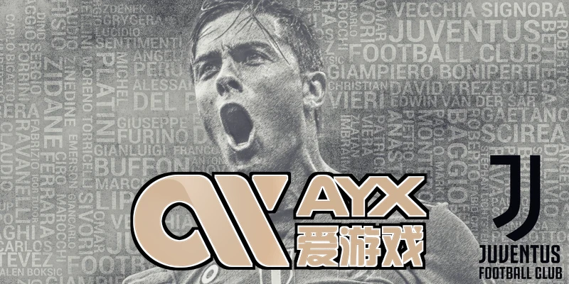 ayx·爱游戏(中国)体育小编点评与使用场景示意