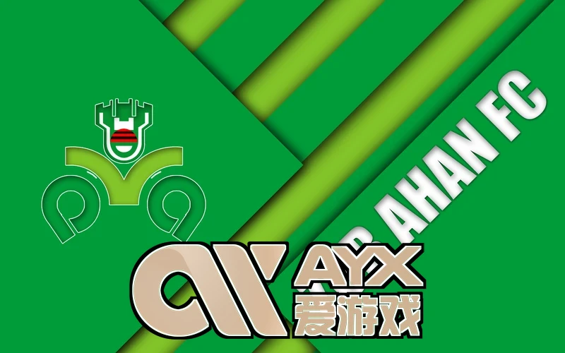 ayx手机版登录入口多场景应用图片