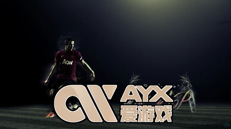 ayx·爱游戏(中国)体育个人中心与记录查询页面