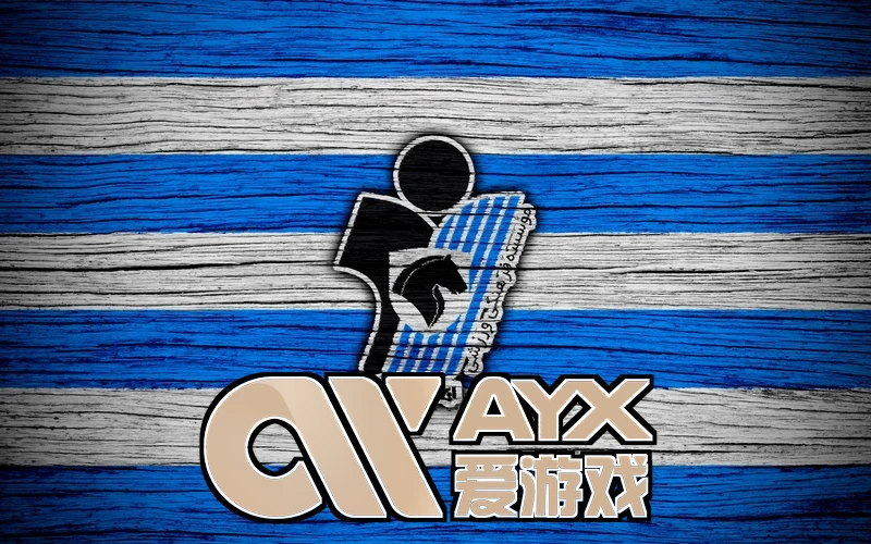ayx游戏app登录入口用户体验场景示例