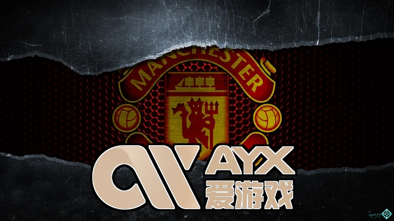 爱游戏手机网页版登录入口版本升级展示