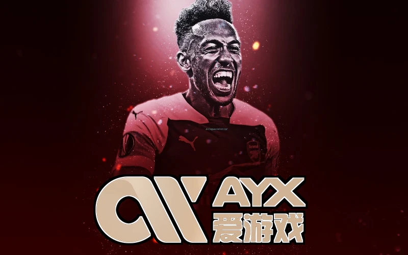 ayx体育app官方网站入口功能展示