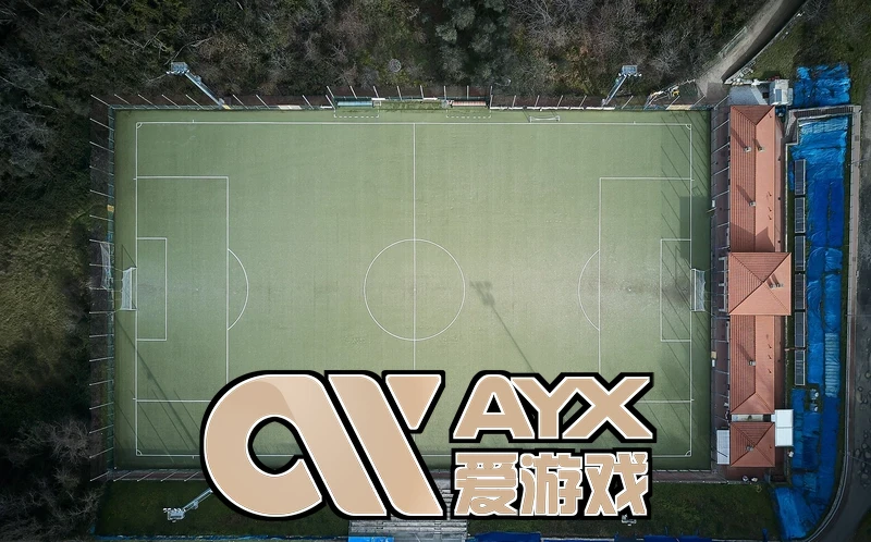爱游戏(AYX)体育app官方网站赛事直播
