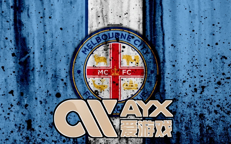 (ayx)体育官方网站全面服务引领体育热潮