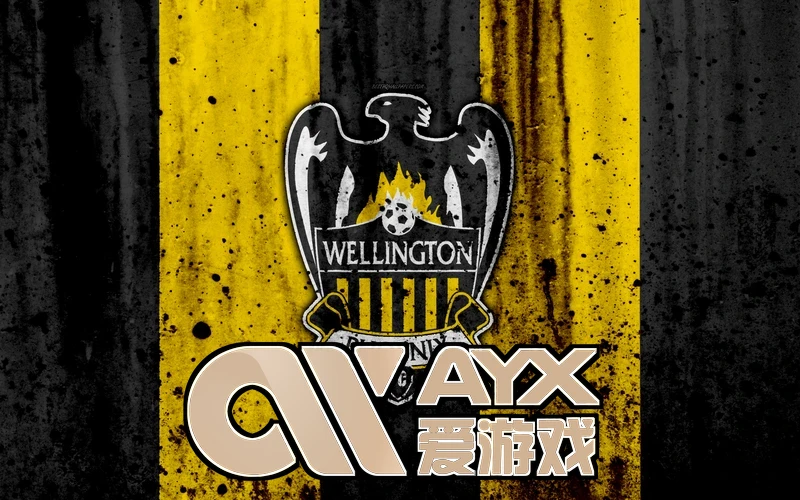 ayx・爱游戏(中国)官方网数据分析