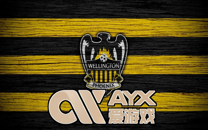 AYX・爱游戏(中国)手机版核心功能模块流程示意