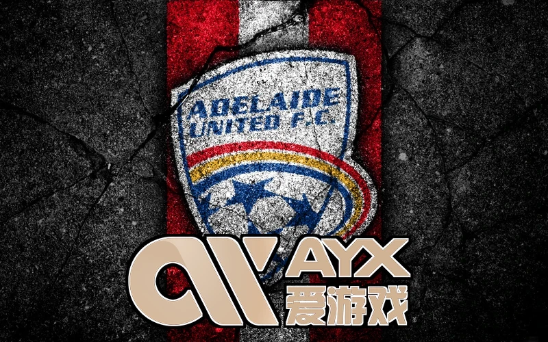 ayx·爱游戏APP登录入口产业合作生态图