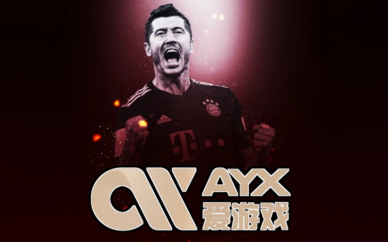 ayx官网登录入口登录后功能模块导航示意