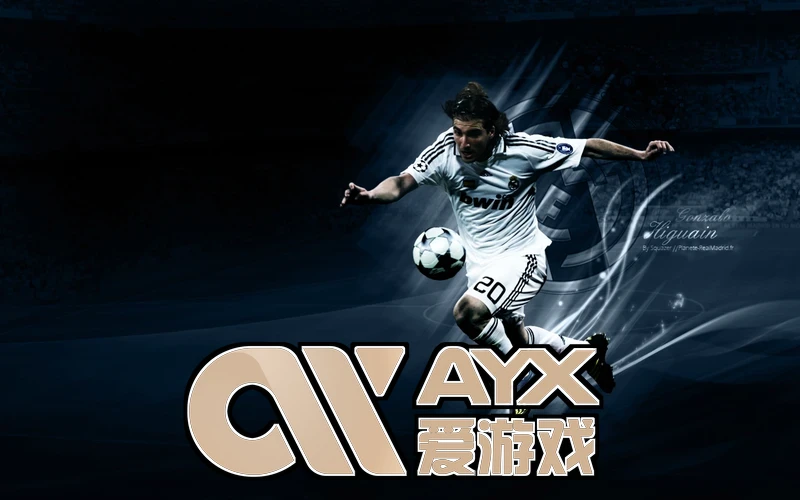AYX・爱游戏(中国)手机版案例展示图片
