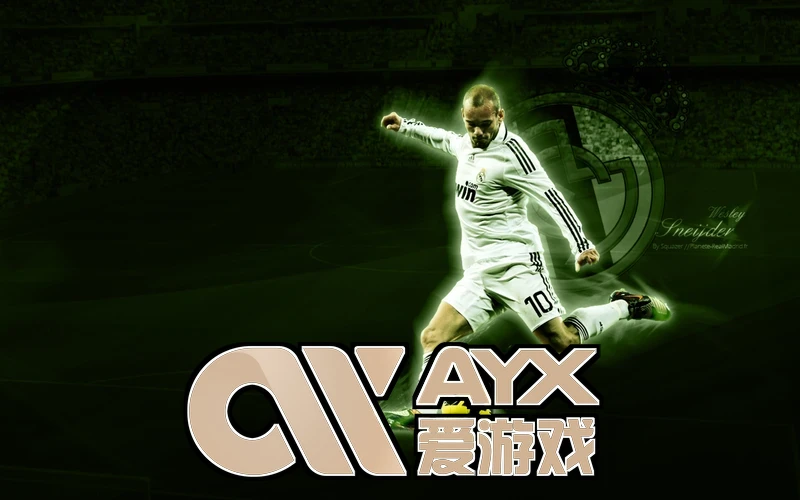 爱游戏ayx体育app官网入口相关图片