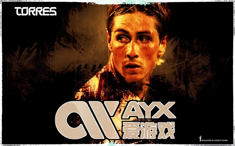 AYX・爱游戏中国手机版相关图片