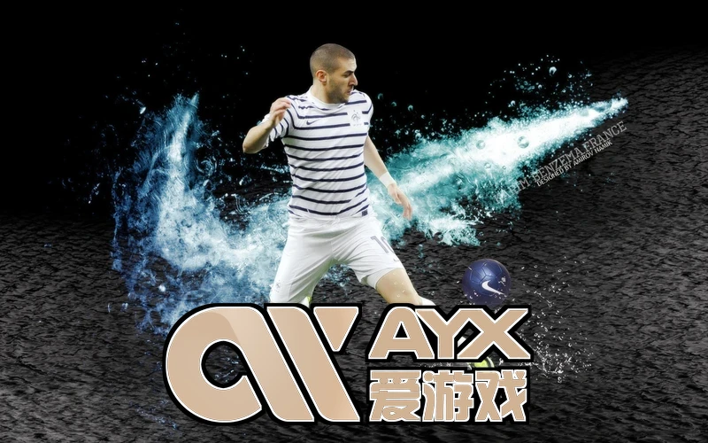 ayx官网登录入口 界面展示