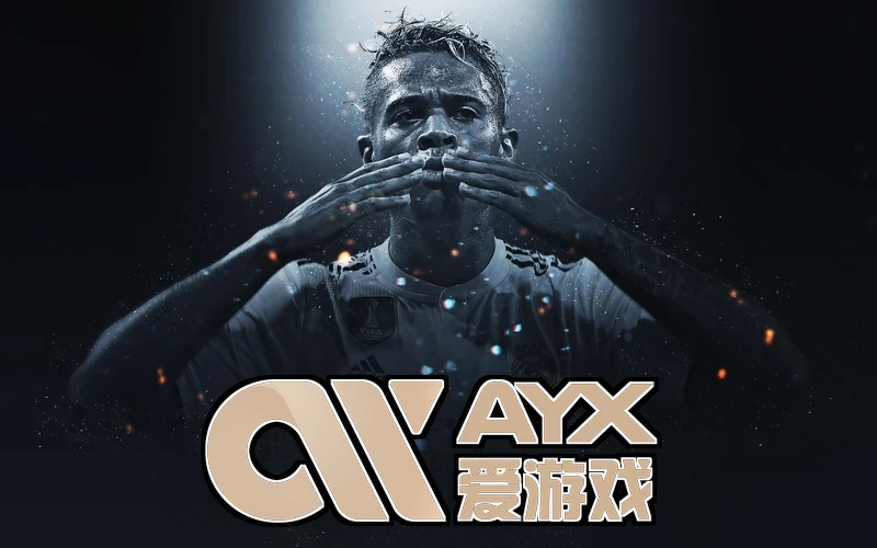 ayx手机版登录入口移动端界面展示