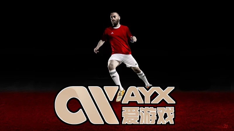 ayx体育app官网入口v4.2版本硬件架构示意