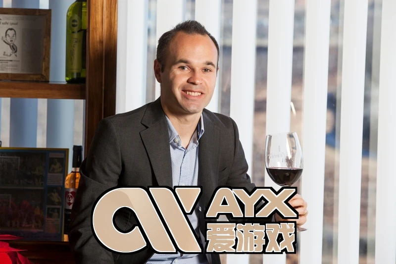 ayx・爱游戏(中国)手机版界面展示