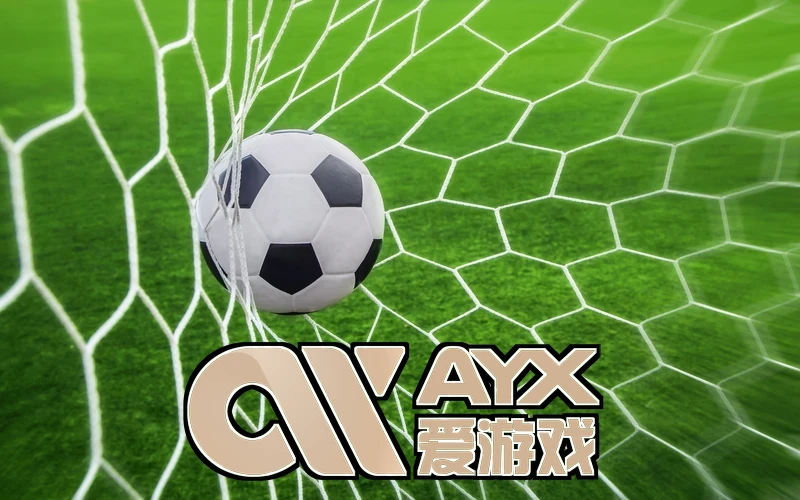 AYX・爱游戏(中国)手机版相关图片
