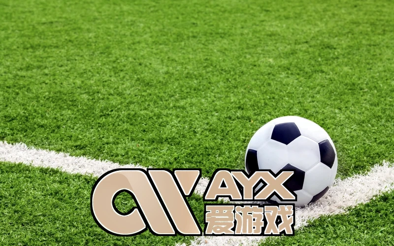 ayx爱游戏中国官方网站相关图片