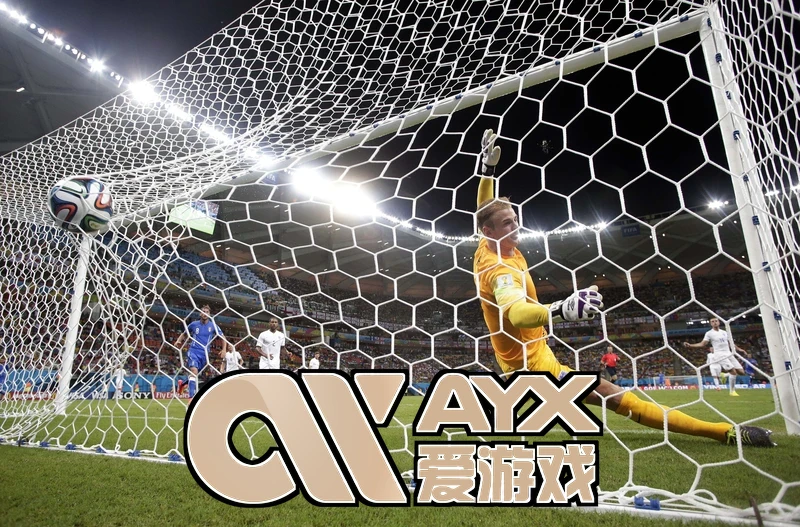 ayx·爱游戏(中国)体育平台全新界面