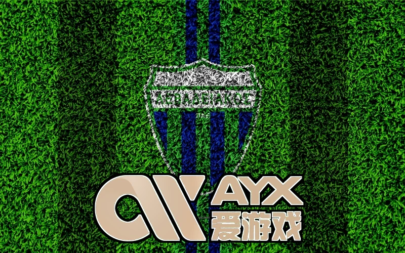 爱游戏(AYX)体育app官方网站相关图片