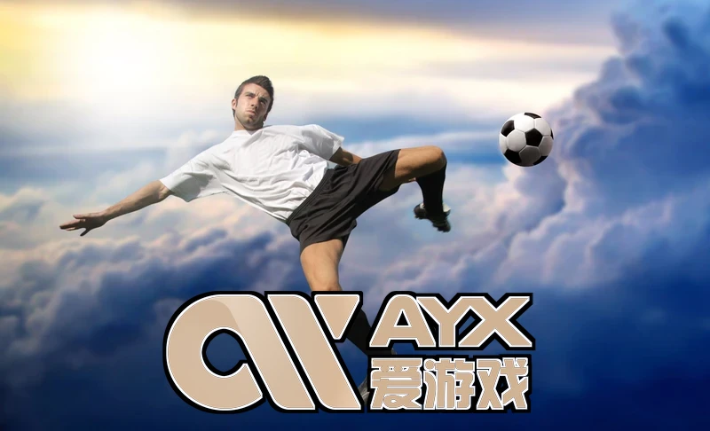 ayx官网登录入口安全验证流程示意图
