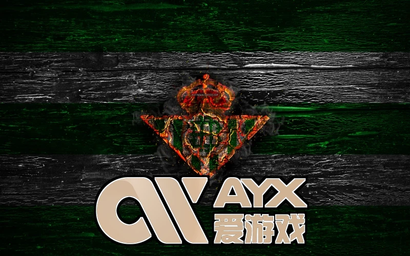 爱游戏ayx体育官网入口 相关图3