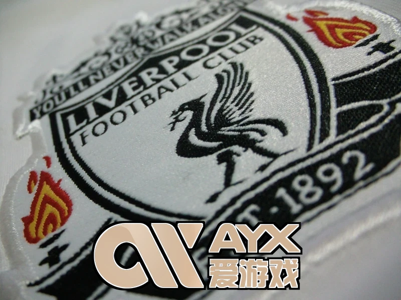 爱游戏·ayx官方网站首次启动设置与账户登录界面