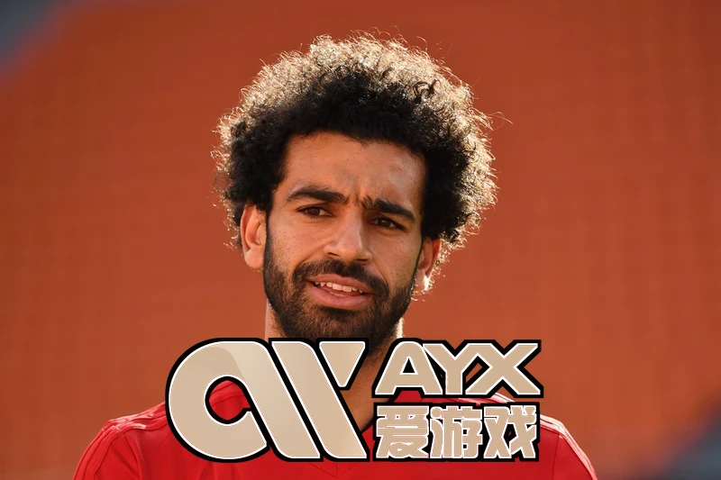 AYX・爱游戏中国手机版多维度能力评估对比图