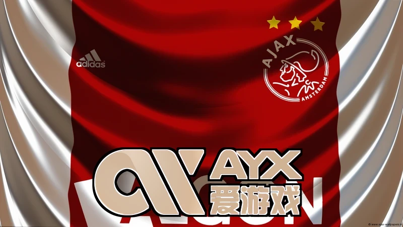 爱游戏平台登录入口历史