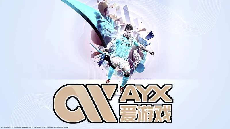 AYX・爱游戏中国手机版账户中心页面示意图