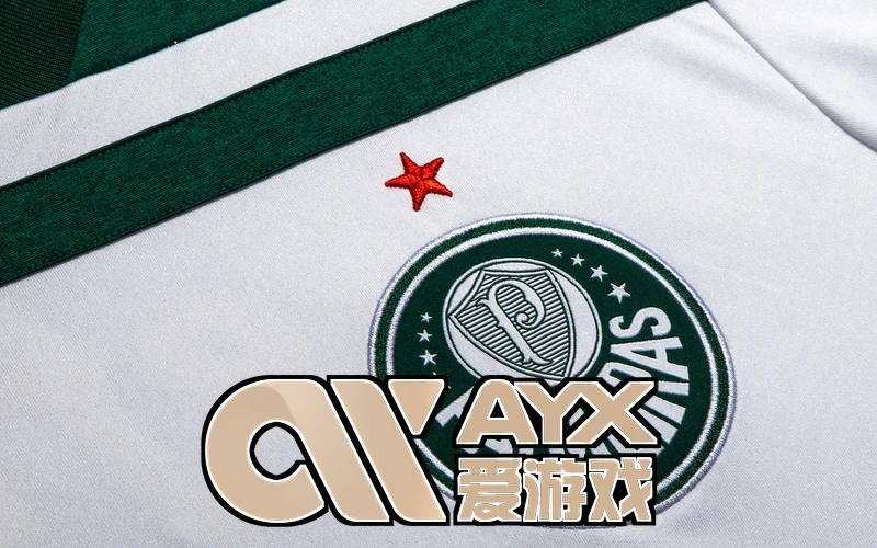 爱游戏·ayx.游戏.中国相关图片