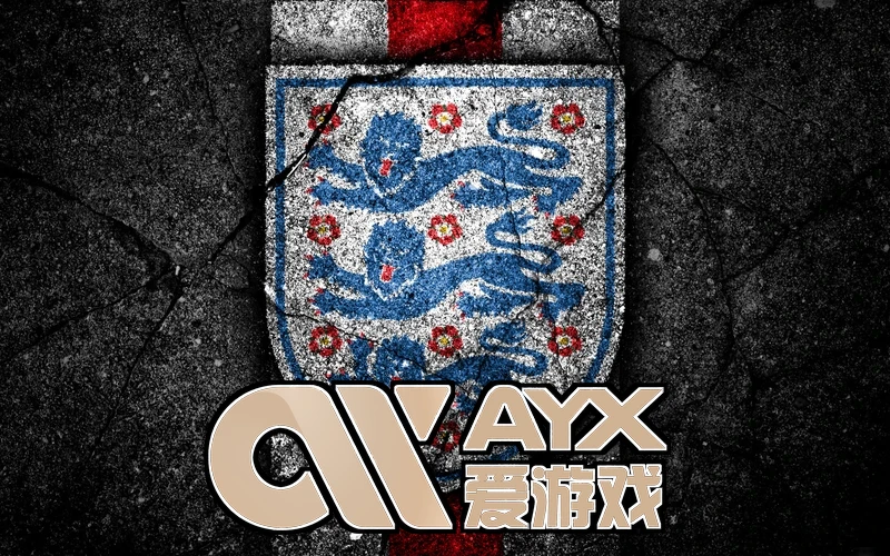 ayx Gaming Pro 2026相关图片