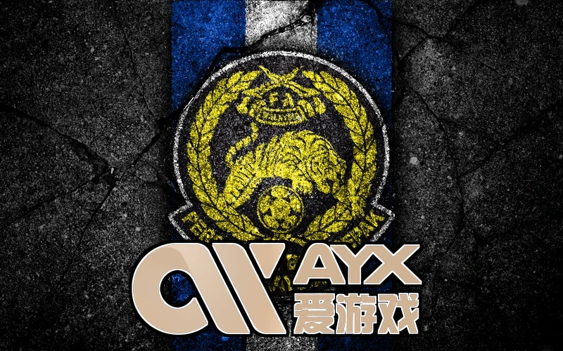 ayx・爱游戏(中国)官方用户体验与增长趋势图