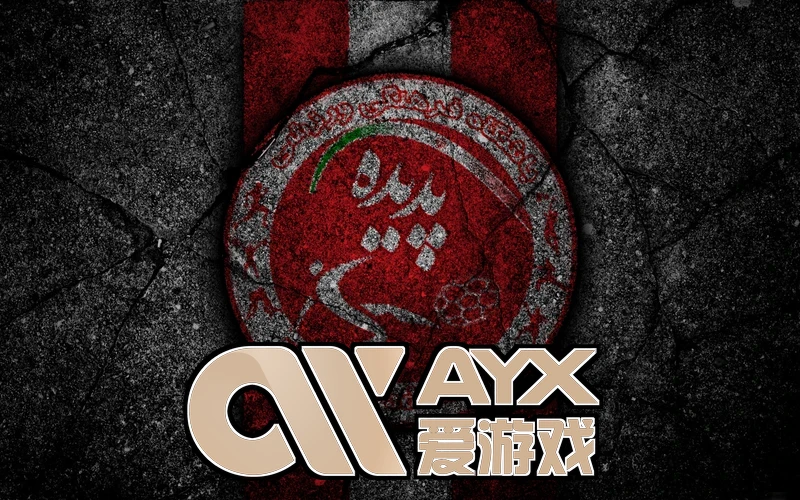 爱体育APP安装发布会现场图片