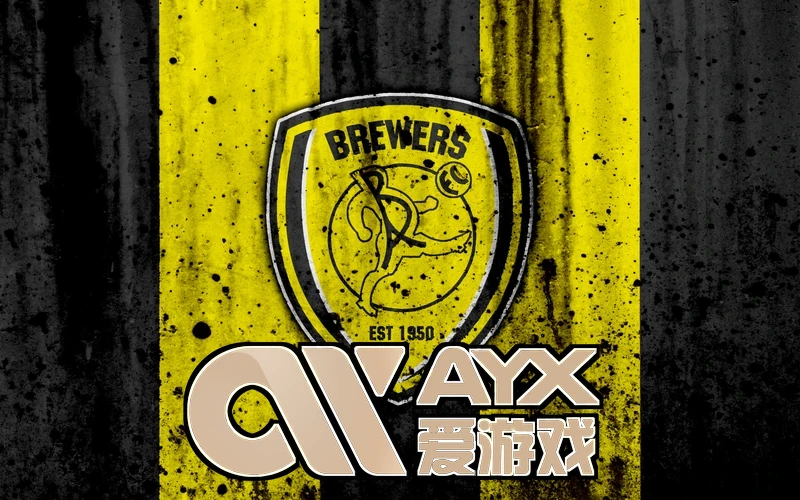 爱游戏ayx体育相关图片