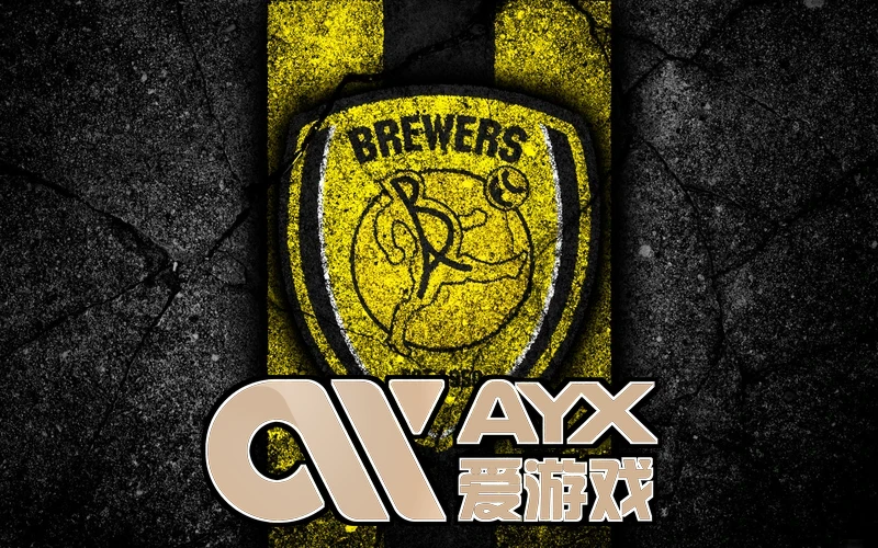 ayx·爱游戏APP登录入口全球峰会领奖现场