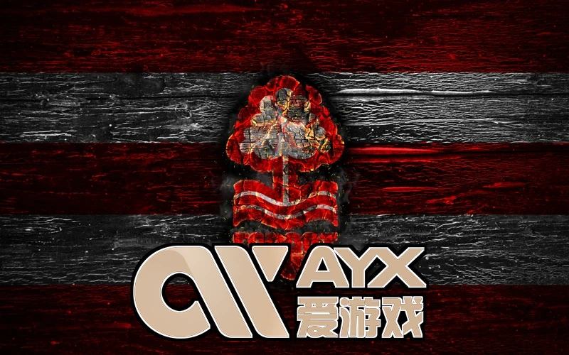 ayx体育app官网入口游戏对局画面