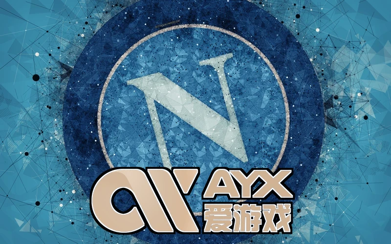 AYX爱游戏APP用户规模与增长趋势图