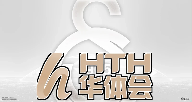 华体集团的企业规模引言图片
